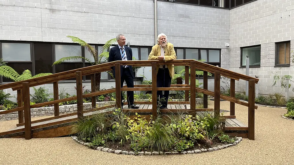 Photo depicting two figures standing on a bridge in the RCHT Healing Garden